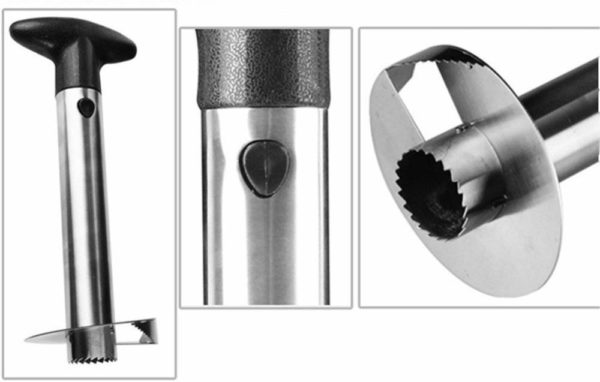 51IBANqYNQL._SL1000_