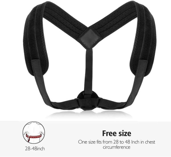 51ko0BBvfmL._AC_SL1001_