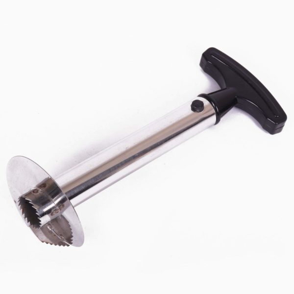 61YmwG8d2fL._SL1500_