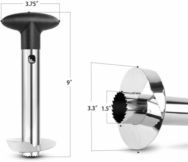 61kdkz5T+dL._SL1366_
