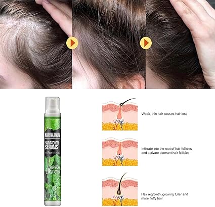 71HWHdvQzaL._AC_SX425_